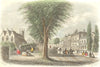 SUSSEX. Trinity Church, Eastbourne c1855 old antique vintage print picture