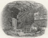 SUSSEX. Brighton Aquarium(Fernery & Waterfall) c1855 old antique print picture