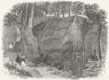 SUSSEX. Dripping well, Hastings c1855 old antique vintage print picture