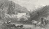 GERMANY. Fall of hind Rhine, Rofflen. Tombleson 1830 old antique print picture