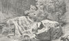 ZURICH. Wildpark Langnau. Weber 1879 old antique vintage print picture