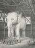 PARIS. Modele L'elephant Place Bastille  1828 old antique print picture