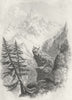 SWITZERLAND. Haunts of Chamois. 'The Camois 1831 old antique print picture