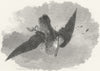 BIRDS. The dying Woodcock 1833 old antique vintage print picture