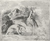 BIRDS. Hyaena dog stork crane c1840 old antique vintage print picture