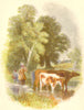 FAMILY. Cows milkmaid pail, head child 1857 old antique vintage print picture