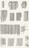 TREES. Bark 1849 old antique vintage print picture