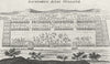 MILITARIA. Iconismus Aciei Vulgatae c1780 old antique vintage print picture