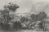 IOW. Newport from the South-Bartlett c1840 old antique vintage print picture