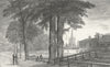 LINCS. Spalding. Saunders Nice under trees 1836 old antique print picture