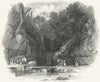 IOW. Shanklin Chine 1841 old antique vintage print picture