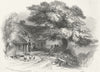 IOW. Chine Inn, Shanklin 1842 old antique vintage print picture
