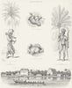 SURINAME. Carib; Arawak; cocoa Alkmaar Commewijne c1849 old antique print