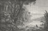 GUYANA. Victoria Regia(Lilies, river Berbice) c1880 old antique print picture
