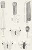 BUTTERFLIES. Net, Brace. Emperor; Round; Clap; Sweeping c1880 old print