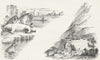 ARCTIC. Walrus; making Igloo Kennedy Prince Albert c1849 old antique print