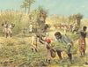 WEST INDIES. Cutting sugar cane harvest; Walther 1880 old antique print