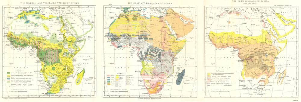 AFRICA. Mineral Vegetables Languages Diseases 1915 old antique map plan chart
