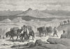 BOSNIA. Turkish muleteers, Herzegovina c1885 old antique vintage print picture