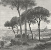 ROME. Roma c1885 old antique vintage print picture