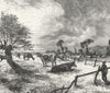 FRANCE. Meadows of Normandy c1885 old antique vintage print picture