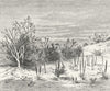 CENTRAL ASIA. Vegetation of Kyzyl Kum c1885 old antique vintage print picture