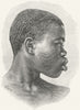 SUDAN. Shilluk Type c1885 old antique vintage print picture