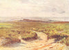 DORSET. Studland Heath. Poole Harbour 1906 old antique vintage print picture