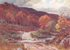 SCOTLAND. In Glenfinlas, Perthshire. 1904 old antique vintage print picture