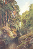 SCOTLAND. A Wooded Gorge, Killin, Perthshire 1904 old antique print picture