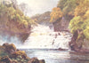 SCOTLAND. Falls of Clyde, Lanarkshire 1904 old antique vintage print picture