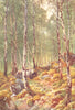 ROSSHIRE. A Birch-wood in Springtime, Loch Maree 1904 old antique print