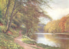 SCOTLAND. River Ayr, Ayrshire 1904 old antique vintage print picture