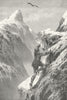 FRANCE. Gathering Edelweiss 1891 old antique vintage print picture