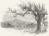 IRELAND. Powerscourt House 1888 old antique vintage print picture