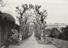 HAMPTON COURT. Queen Mary's Bower & south Front 1897 old antique print picture