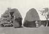 SURREY. Hambledon, Yews at Yewden 1897 old antique vintage print picture
