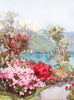 ITALY. Lake Como. Azaleas, Lago di Como 1905 old antique vintage print picture
