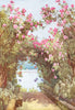 ITALY. Lake. Lago di Maggiore. Oleanders, Isola Madre 1905 old antique print