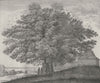 HAMPSTEAD. The Hollow Elme of 1814 old antique vintage print picture