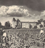 BORDEAUX WINE. Le Premier des Grands Crus 1949 old vintage print picture