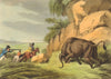 SOUTH AFRICA. Shooting an African Buffalo. Top hat.  (Edward Orme)  1814 print