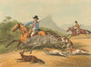SOUTH AFRICA. Hunting the Zebra. Horses Dogs Lassoo (Edward Orme)  1814 print