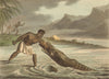 SENEGAL. African Crocodile Hunter. Knife. Arm covered by Cow hide.  (Orme)  1814