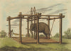INDIA. Hindu method taming Elephants. Ligatures. Mohout (Edward Orme)  1814