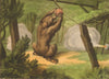 GERMANY. Honey trap shoot Bear. Basket triggers blunderbusses (Orme)  1814