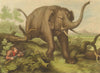SOUTH AFRICA. Hunted Elephant. Hunter. Rifle.  (Edward Orme)  1814 old print