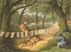 GERMANY. Deer- shooting, with Decoy. Coloured flags (Edward Orme)  1814 print