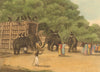 INDIA. Hindu Elephant Trap. Keddah. Ropes (Field Sports- Edward Orme)  1814