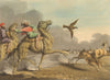 ARABIA.Arabs hawking Antelopes.Riding camels.(Field Sports-Edward Orme) 1814